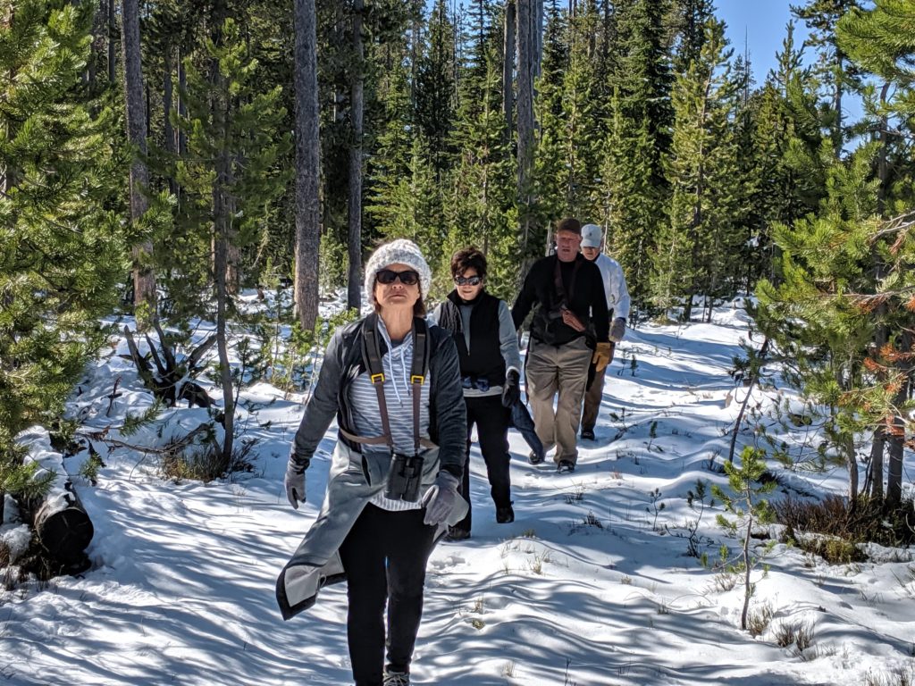 guided hikes in Yellowstone for all abilities